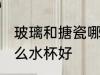 玻璃和搪瓷哪种水杯好 玻璃和搪瓷什么水杯好