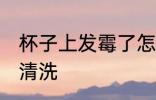 杯子上发霉了怎么办 杯子发霉了怎么清洗