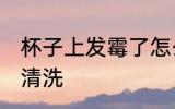 杯子上发霉了怎么办 杯子发霉了怎么清洗
