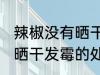 辣椒没有晒干发霉了怎么办 辣椒没有晒干发霉的处理方法