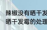辣椒没有晒干发霉了怎么办 辣椒没有晒干发霉的处理方法