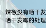 辣椒没有晒干发霉了怎么办 辣椒没有晒干发霉的处理方法