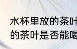 水杯里放的茶叶能喝一天吗 水杯里放的茶叶是否能喝一天