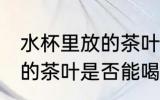 水杯里放的茶叶能喝一天吗 水杯里放的茶叶是否能喝一天