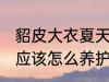 貂皮大衣夏天怎么养护 貂皮大衣夏天应该怎么养护