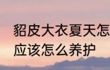 貂皮大衣夏天怎么养护 貂皮大衣夏天应该怎么养护