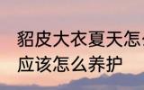 貂皮大衣夏天怎么养护 貂皮大衣夏天应该怎么养护