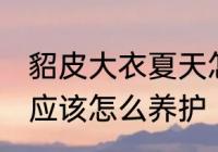 貂皮大衣夏天怎么养护 貂皮大衣夏天应该怎么养护