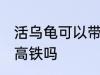 活乌龟可以带上高铁吗 活乌龟能带上高铁吗