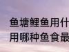 鱼塘鲤鱼用什么鱼食最好用 鱼塘鲤鱼用哪种鱼食最好用