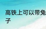 高铁上可以带兔子吗 高铁上能否带兔子