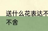 送什么花表达不舍 送什么花可以表达不舍