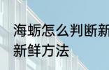 海蛎怎么判断新不新鲜 海蛎判断新不新鲜方法