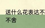 送什么花表达不舍 送什么花可以表达不舍