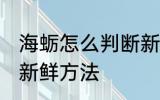 海蛎怎么判断新不新鲜 海蛎判断新不新鲜方法
