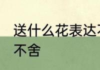 送什么花表达不舍 送什么花可以表达不舍