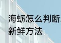 海蛎怎么判断新不新鲜 海蛎判断新不新鲜方法