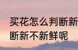 买花怎么判断新不新鲜呢 买花怎如何断新不新鲜呢