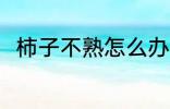 柿子不熟怎么办 柿子不熟如何是好