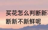 买花怎么判断新不新鲜呢 买花怎如何断新不新鲜呢