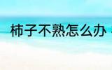 柿子不熟怎么办 柿子不熟如何是好