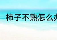 柿子不熟怎么办 柿子不熟如何是好