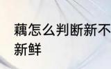 藕怎么判断新不新鲜 如何判断藕新不新鲜